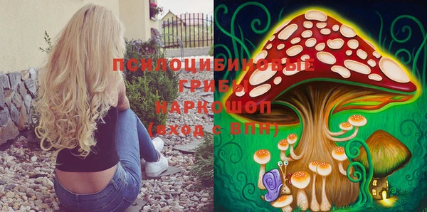 таблы Осинники